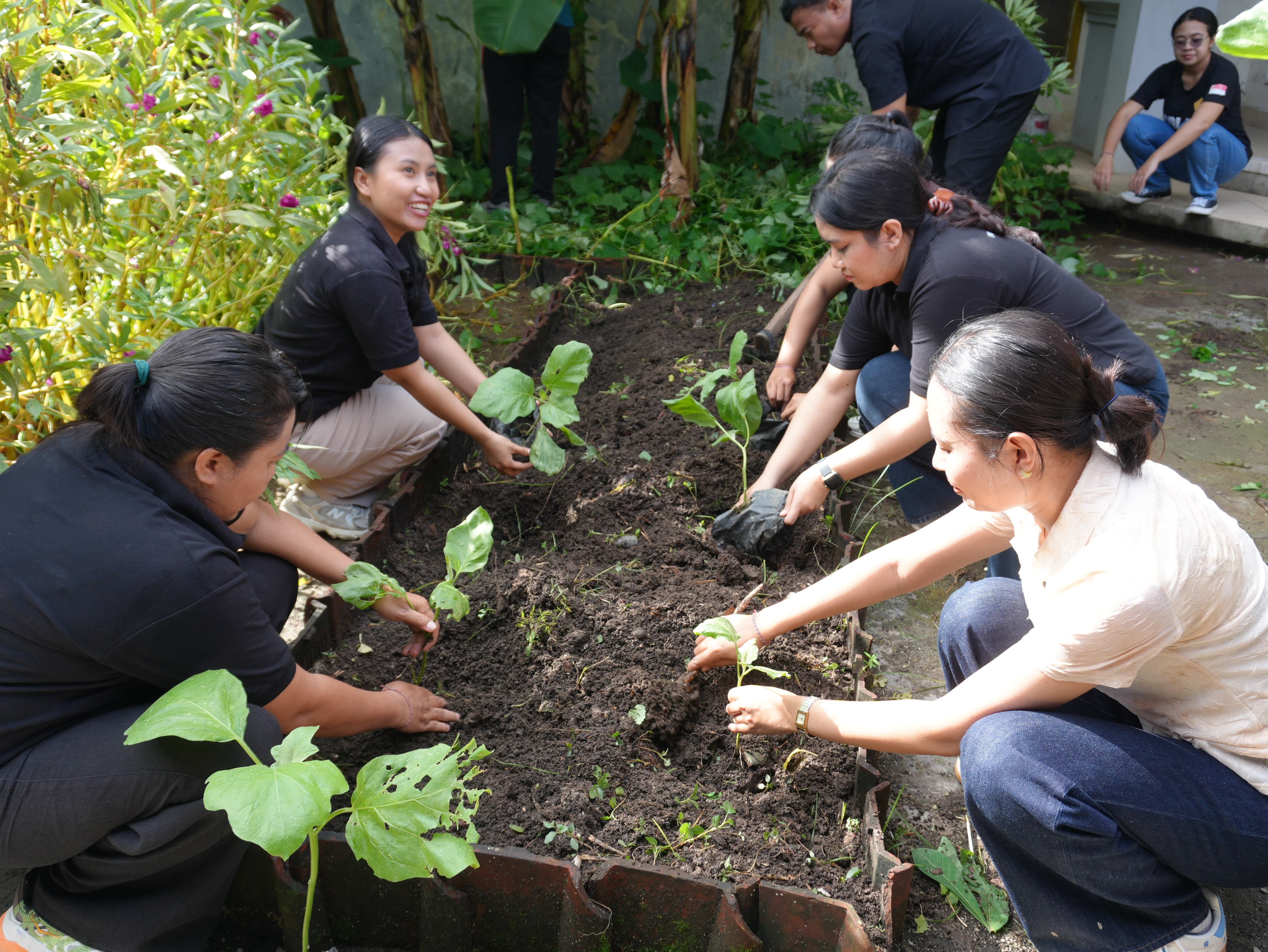 Potret pegawai Bawaslu Bali menanam terong sebagai implementasi program Jumpa Berlian