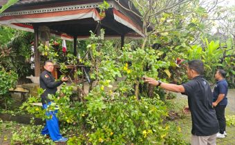 Jumpa Berlian: Bawaslu Bali Satukan Aksi Bersih Lingkungan dan Nilai Demokrasi