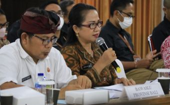 Hadiri KunKer Komisi II DPR RI, Ariyani Sampaikan Kiat Bawaslu Awasi Pemutakhiran DPB