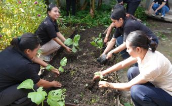 Potret pegawai Bawaslu Bali menanam terong sebagai implementasi program Jumpa Berlian