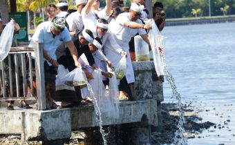 Pelepasan benih ikan di kawasan Denpasar oleh Bawaslu Bali dalam agenda Jala Bali, Kamis (27/8/2026)